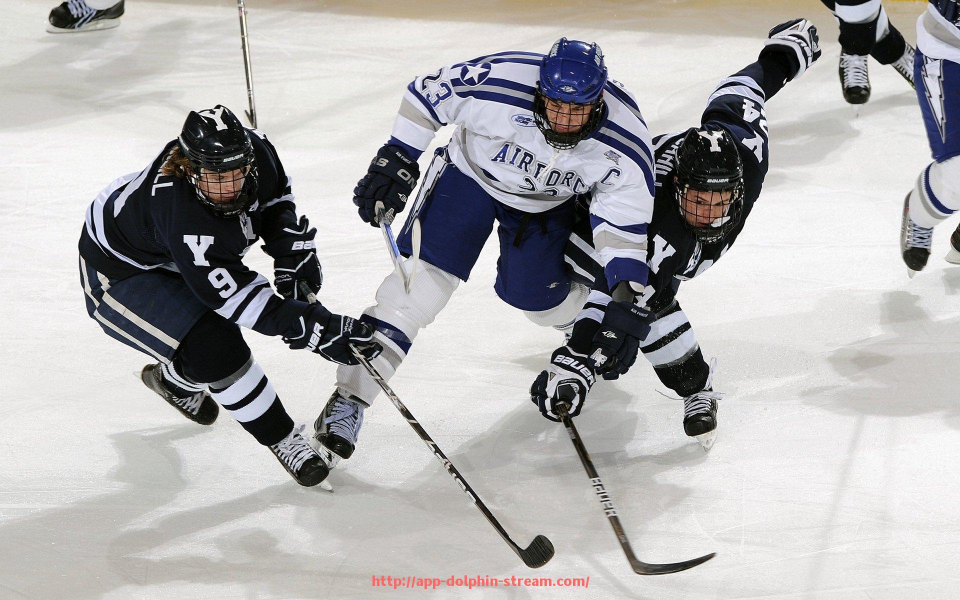 海豚直播-实操角度解析世俱杯赛事赞助活动完整执行方案