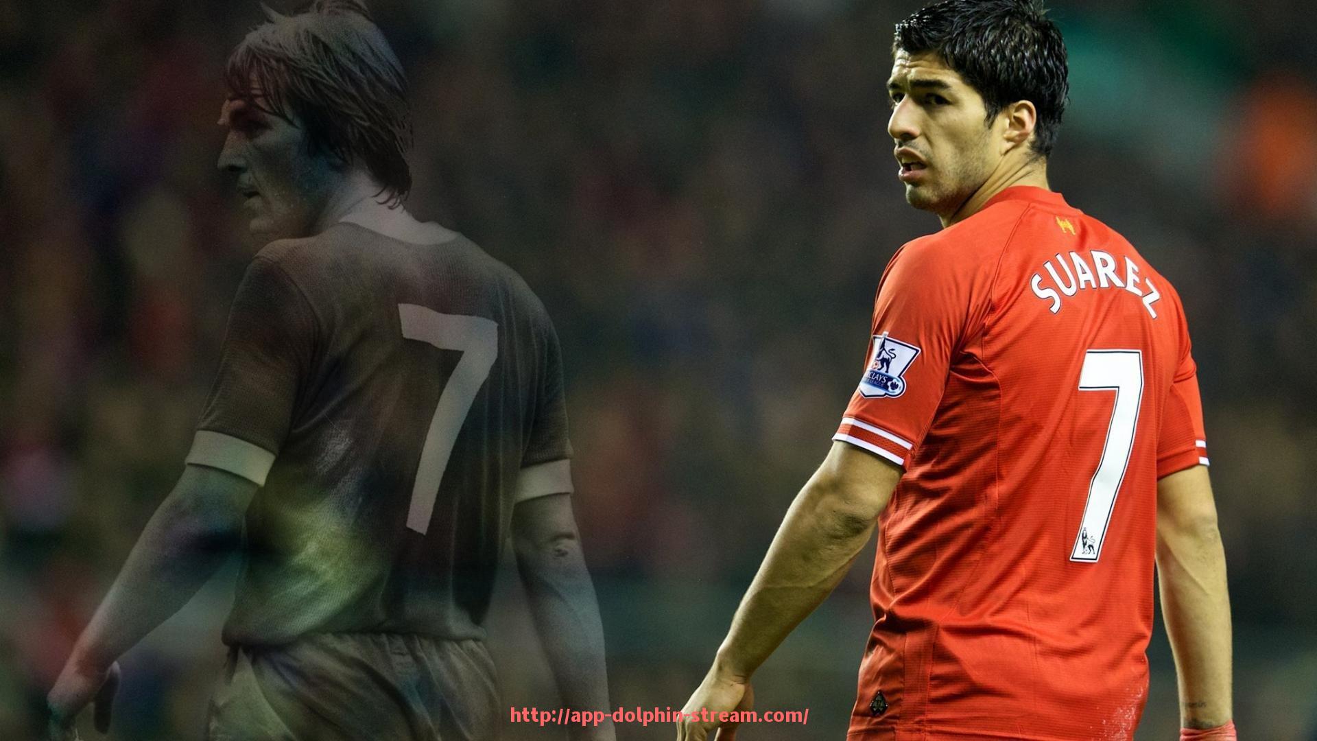 海豚直播-球迷互动活动火热上线！世俱杯不止看比赛